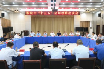 桐城市“十五五”规划思路座谈会强调 把握大势保持定力 精谋“十五五”发展蓝图
