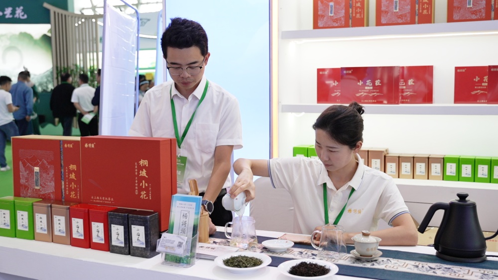 桐城展位.jpg