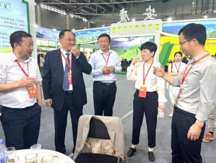“桐城小花”在第十六届安徽国际茶博会上成功“出圈”