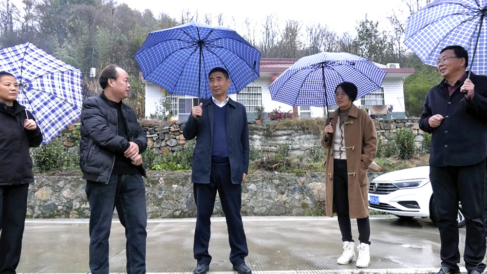 图为副市长彭凯在黄甲镇向阳村食用菌种植基地调研.jpg